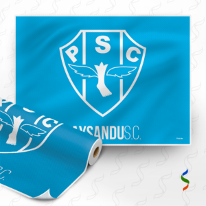 2062 - Painel Paysandu